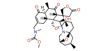 27-Methyl glycinate kuroshine A